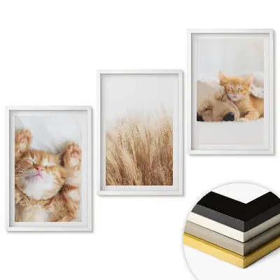 Triptych v rámu Kočky a mír v přírodním stylu