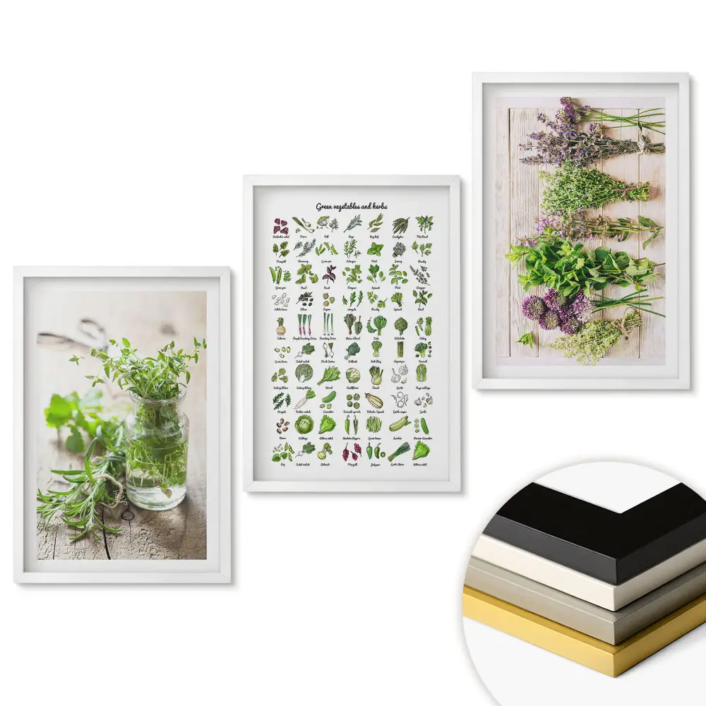 Triptych v rámu Bylinky a rostliny v dekorativním umění