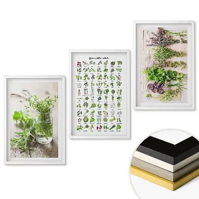 Triptych v rámu Bylinky a rostliny v dekorativním umění