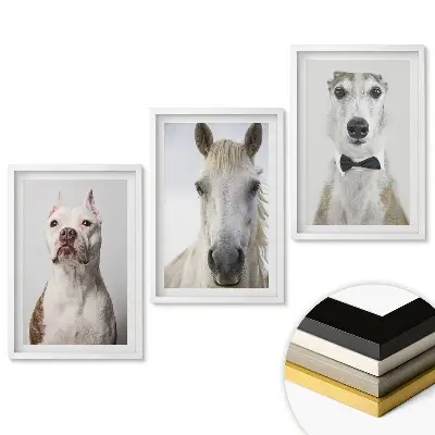 Triptych v rámu Zvířata v elegantních portrétech