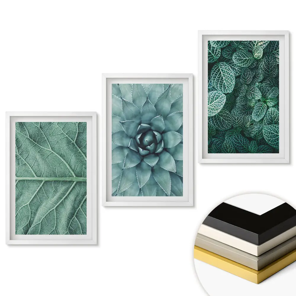 Triptych v rámu Zelená krása přírody v detailu