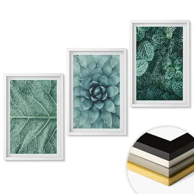 Triptych v rámu Zelená krása přírody v detailu