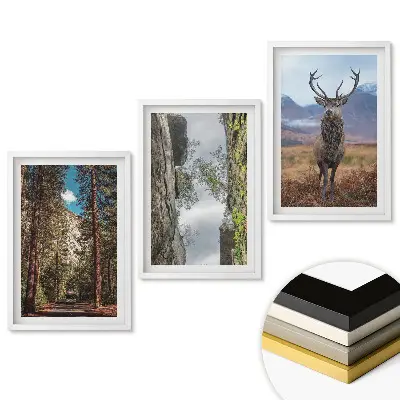 Triptych Příroda v rámu ve třech verzích