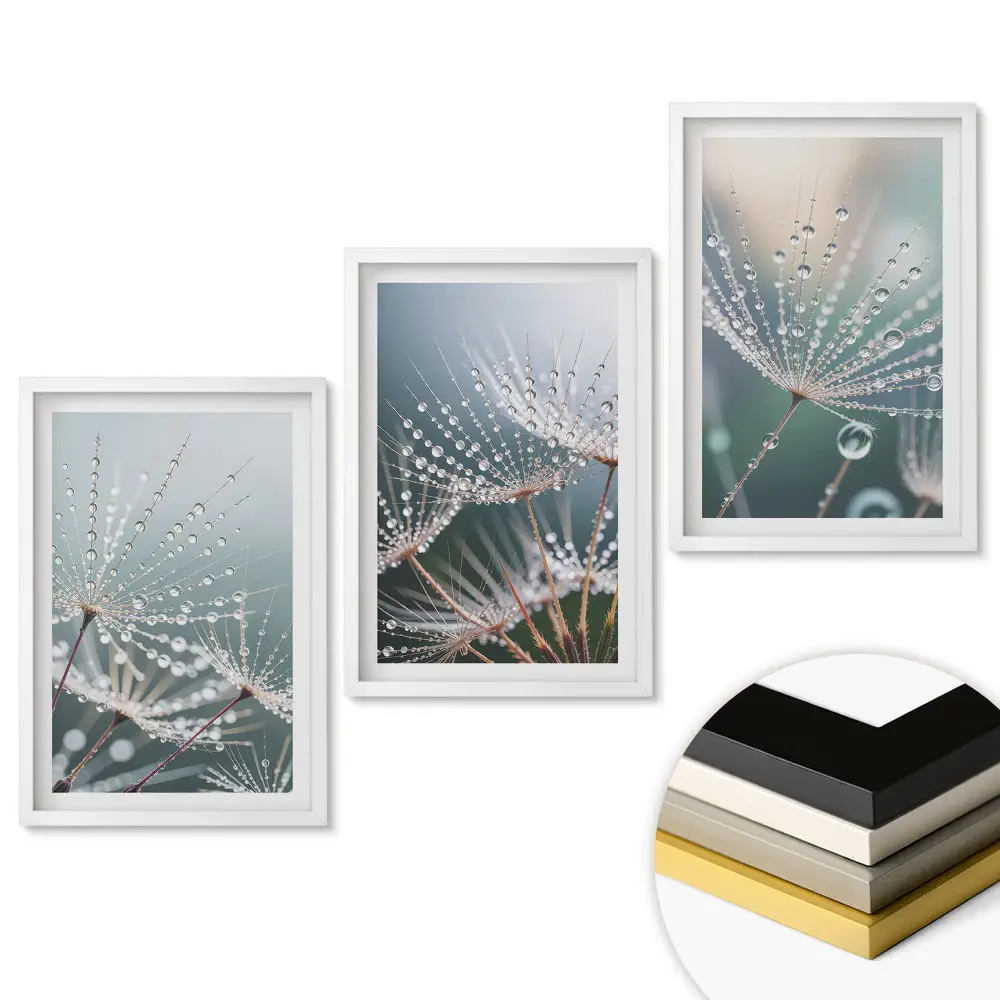 Triptych v rámu Kapky rosy na jemném peří