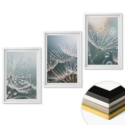 Triptych v rámu Kapky rosy na jemném peří