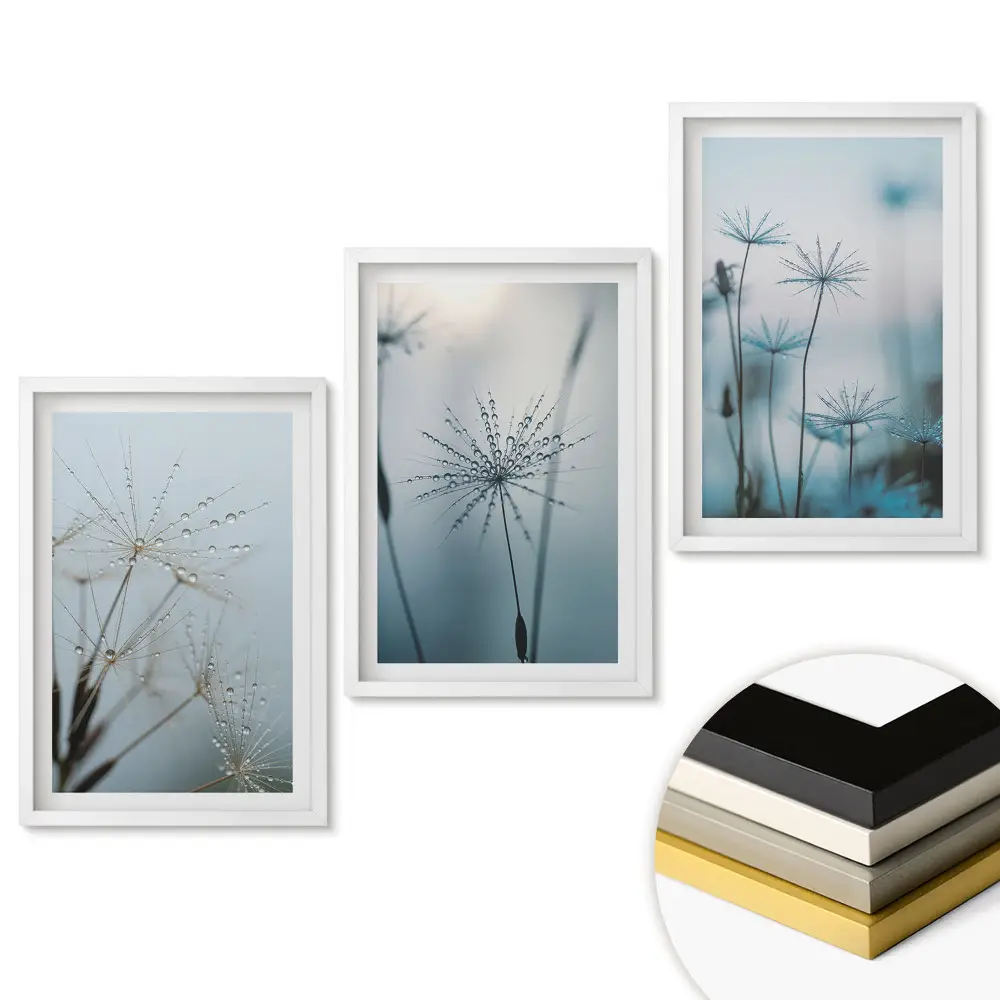 Triptych v rámu Kapky rosy na jemných stéblech trávy