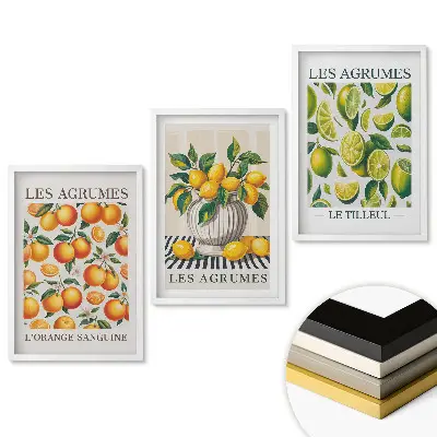 Triptych v rámu Ovocná inspirace s citrusovými plody