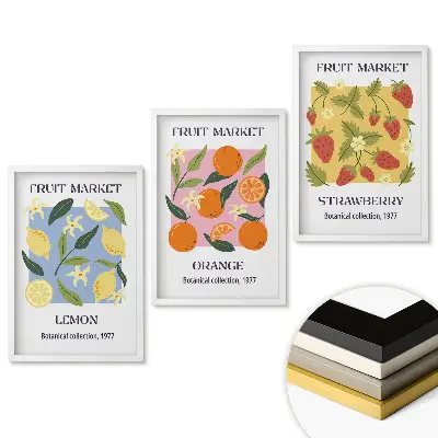 Set obrazů do obývacího pokoje Ovoce z botanického trhu 1977