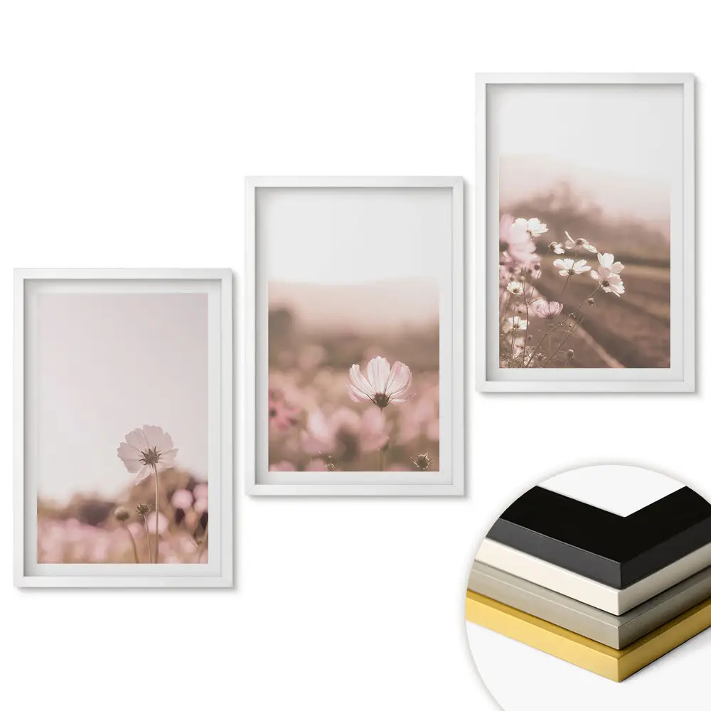 Triptych v rámu Květiny v jemných odstínech růžové