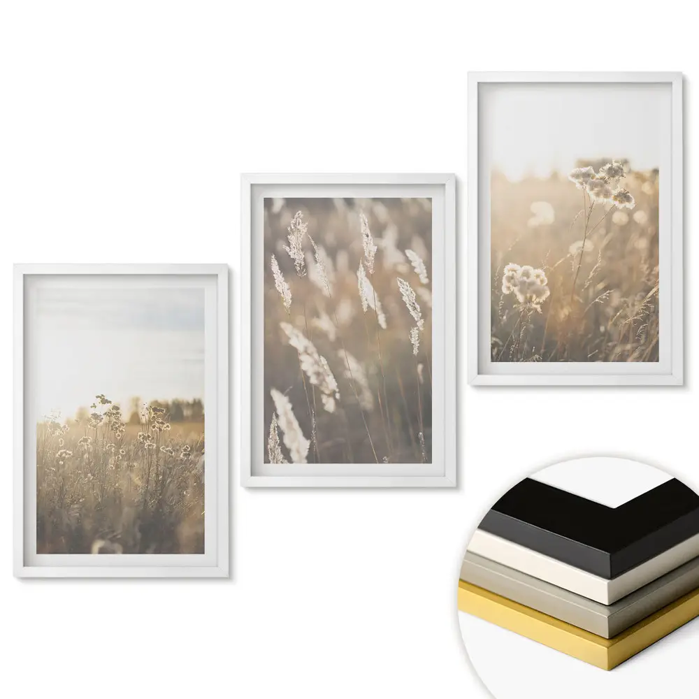 Set obrazů do obýváku Květinové krajiny v měkkém světle