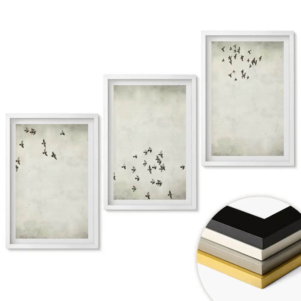 Triptych v rámu Ptáci v letu proti obloze