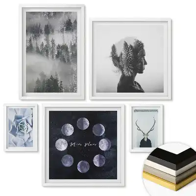Nástěnná galerie Smyslná kombinace přírody a tajemna
