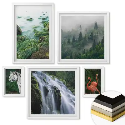 Nástěnná galerie Příroda v různých odstínech krásy