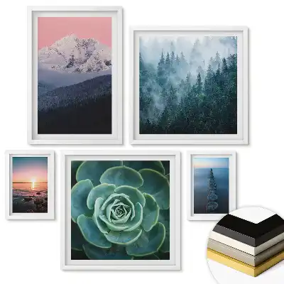 Nástěnná galerie Krása přírody ve čtyřech verzích